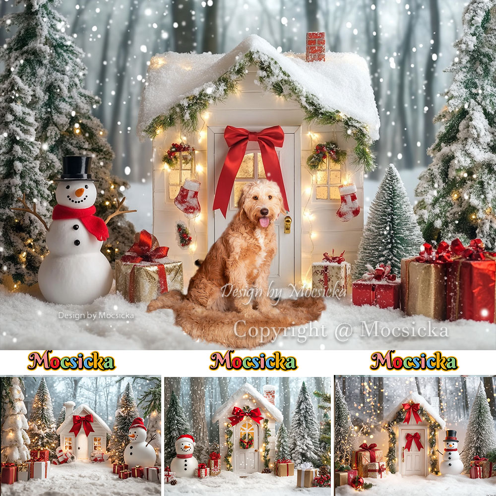 Photography Lighting White Background - Mocsicka Latar Belakang Fotografi Rumah Natal