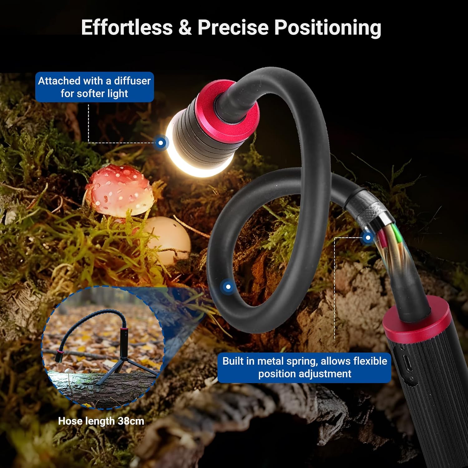 NEEWER BASICS 2 Pcs ML01 Lampu - Photography Lighting Basics ulasan dan harga